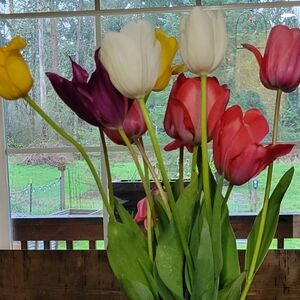 Meet your Posher, Mandy